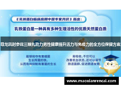 尊龙凯时参茸三鞭丸助力男性健康提升活力与免疫力的全方位保健方案 尊龙凯时参茸三鞭丸助力男性健康提升活力与免疫力的全方位保健方案