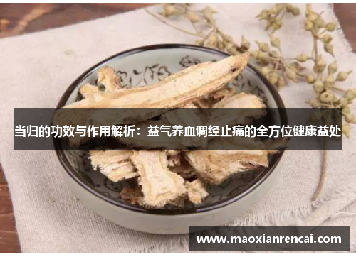 当归的功效与作用解析：益气养血调经止痛的全方位健康益处