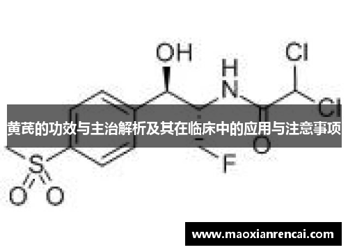 黄芪的功效与主治解析及其在临床中的应用与注意事项 黄芪的功效与主治解析及其在临床中的应用与注意事项