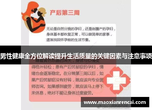 男性健康全方位解读提升生活质量的关键因素与注意事项 男性健康全方位解读提升生活质量的关键因素与注意事项