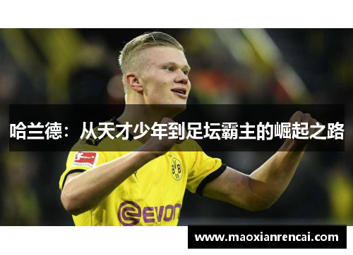 哈兰德:从天才少年到足坛霸主的崛起之路 哈兰德:从天才少年到足坛霸主的崛起之路