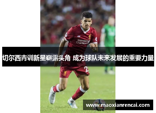 切尔西青训新星崭露头角 成为球队未来发展的重要力量 切尔西青训新星崭露头角 成为球队未来发展的重要力量